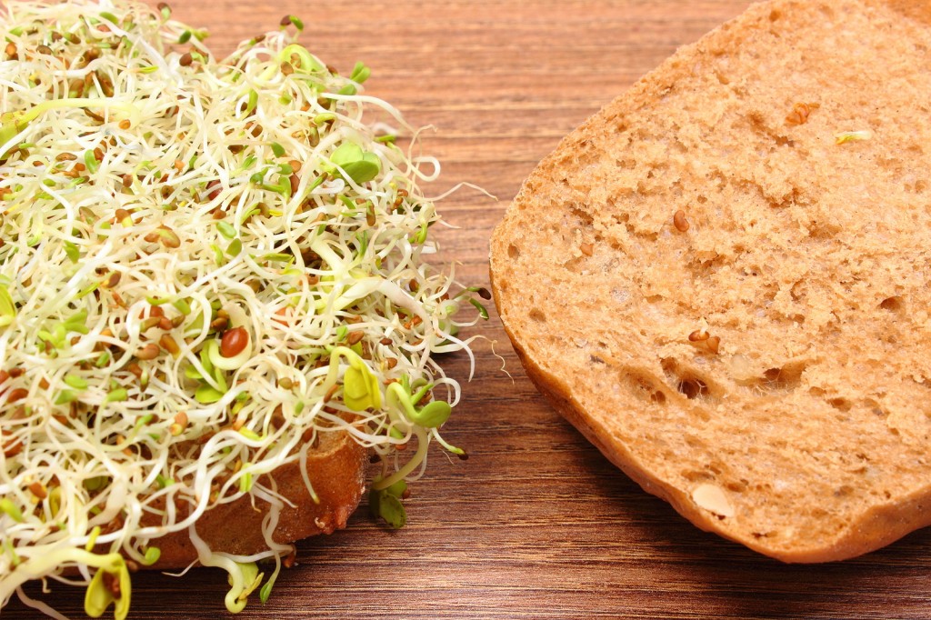 Wholemeal Bread Roll With Alfalfa And Radish Sprouts